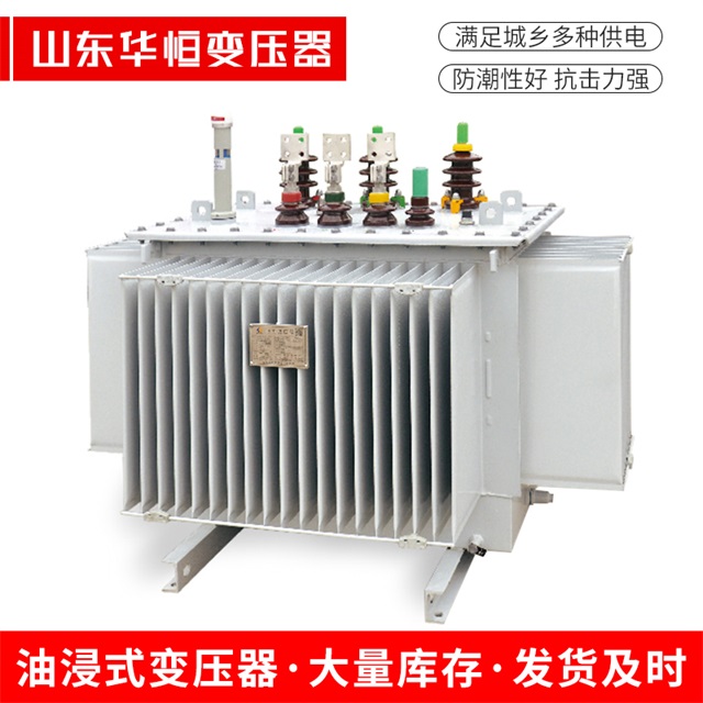 S13-10000/35永清永清永清电力变压器