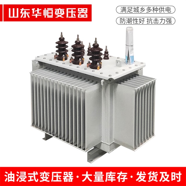 S11-10000/35永清永清永清电力变压器价格